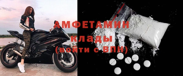 индика Богородицк