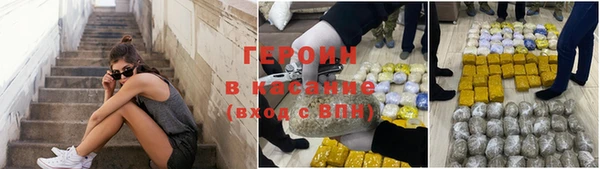 индика Богородицк