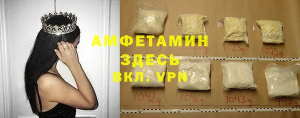 индика Богородицк
