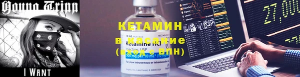 индика Богородицк