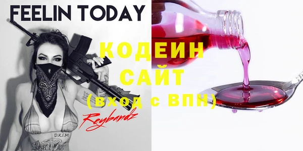 индика Богородицк