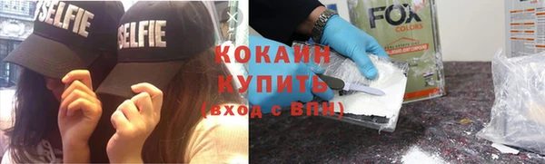 индика Богородицк