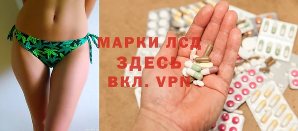 индика Богородицк