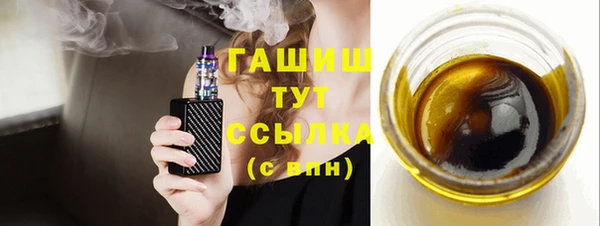 индика Богородицк