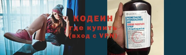 индика Богородицк