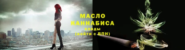 индика Богородицк