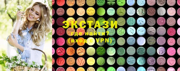 индика Богородицк