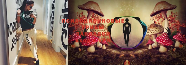 марки lsd Богданович