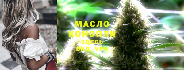 индика Богородицк