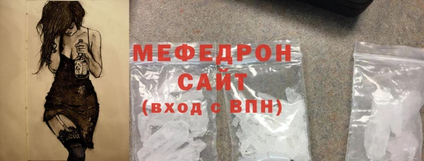индика Богородицк